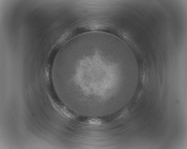 X0000080790214200612151503