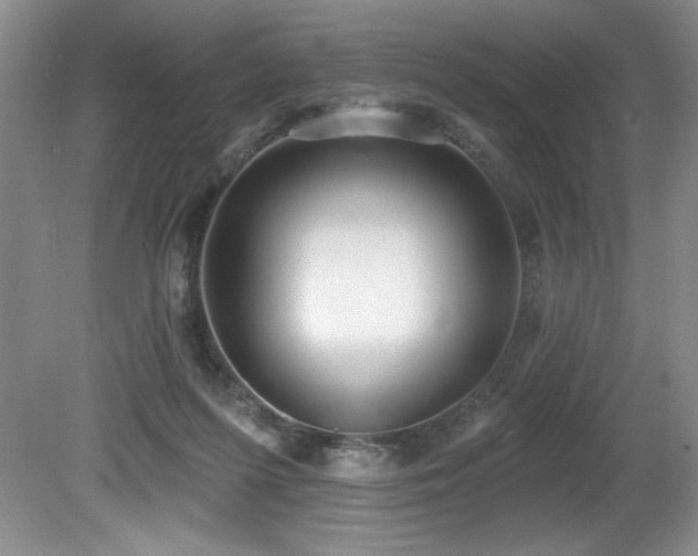 X0000080790215200612151503