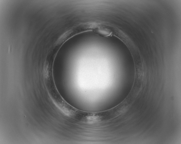 X0000080790216200612151503