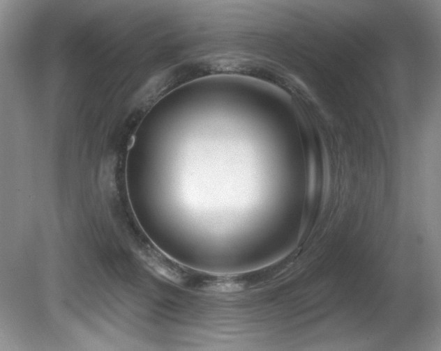 X0000080790217200612151503