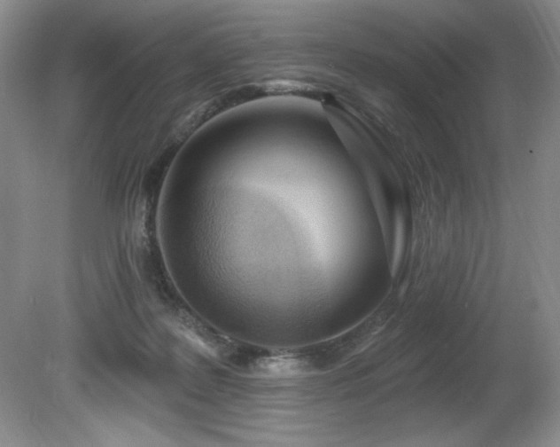 X0000080790219200612151503