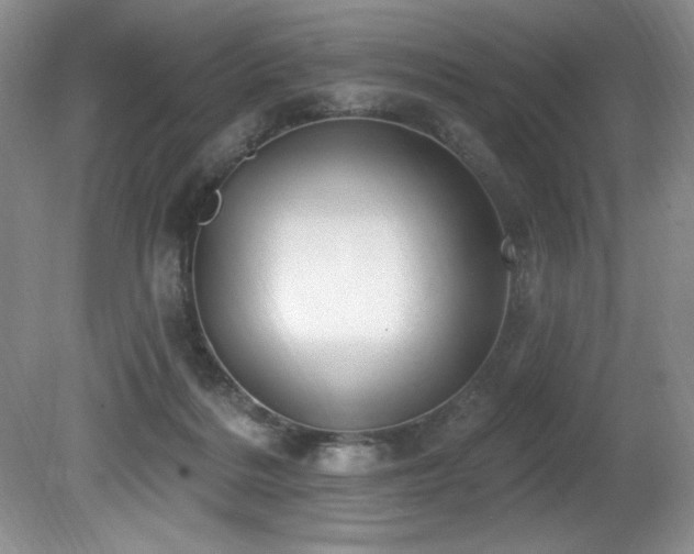 X0000080790220200612151503