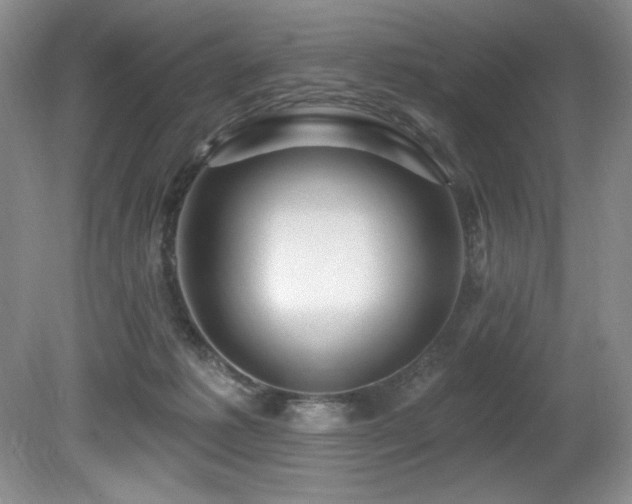 X0000080790221200612151503
