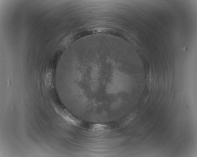 X0000080790222200612151503