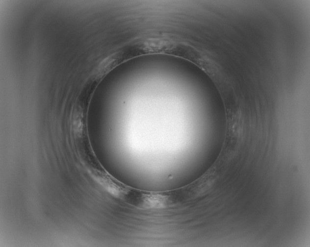 X0000080790226200612151503