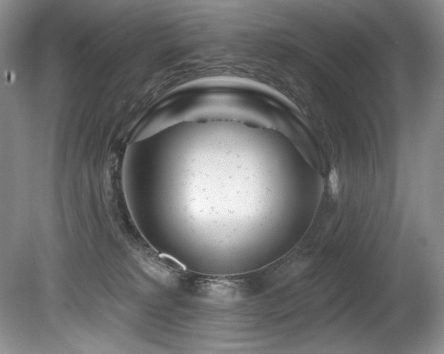 X0000080790229200612151503