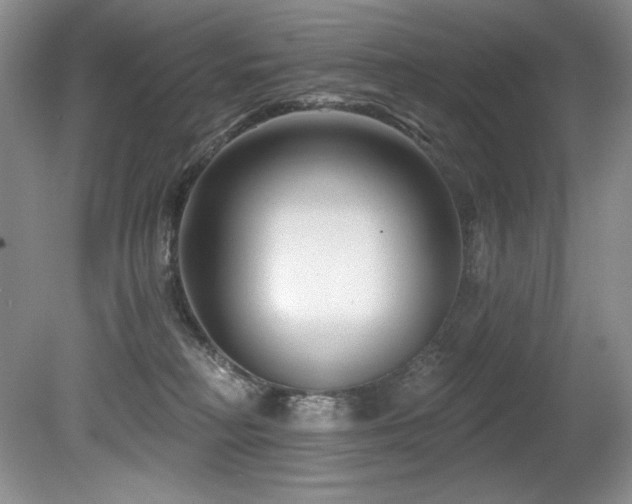 X0000080790230200612151503