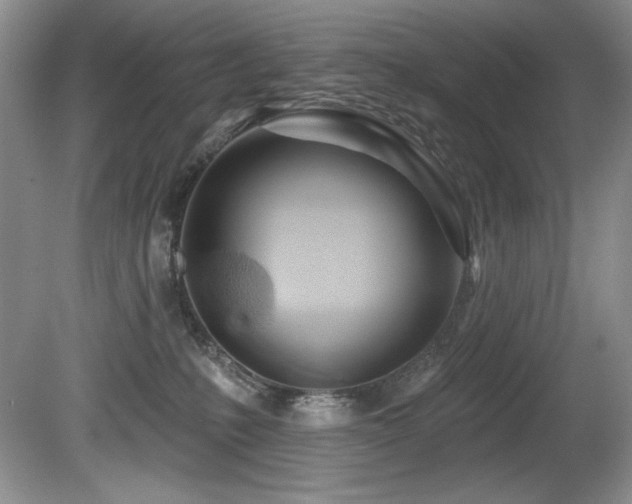 X0000080790231200612151503