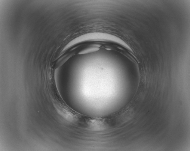 X0000080790232200612151503