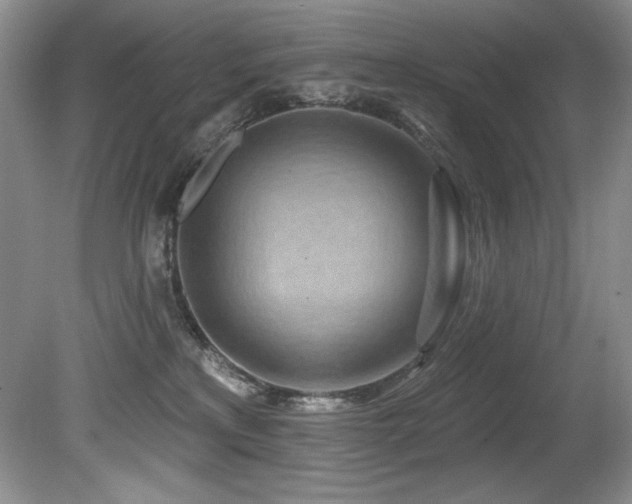 X0000080790233200612151503