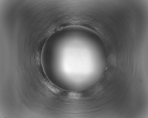 X0000080790234200612151503