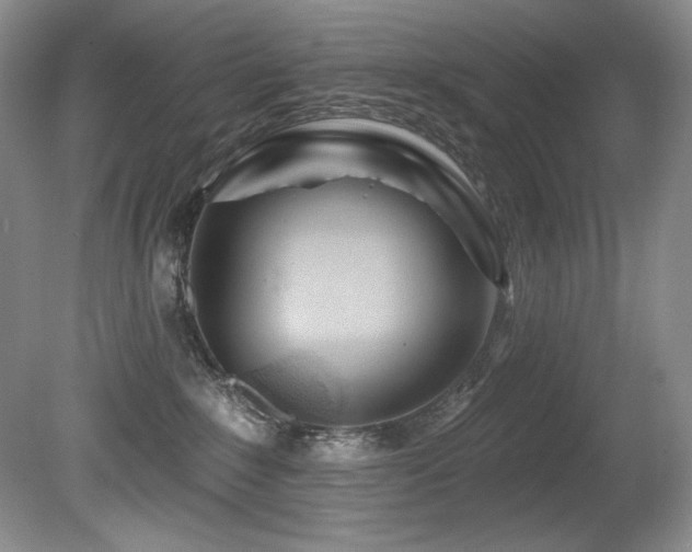 X0000080790235200612151503