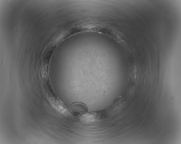 X0000080790236200612151503