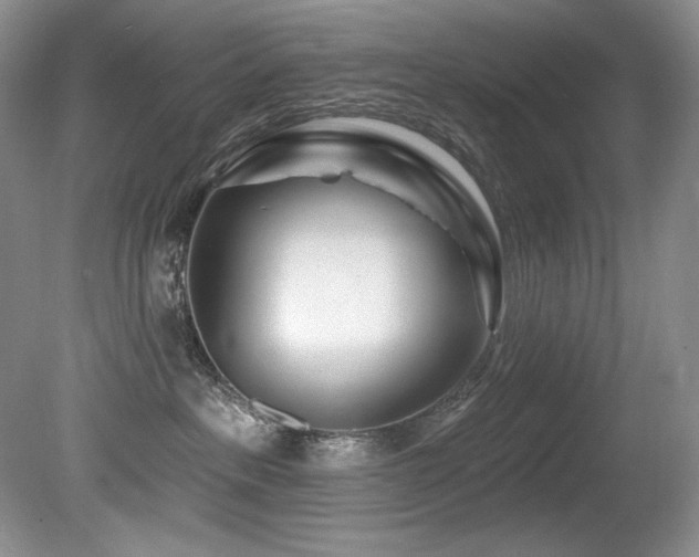X0000080790237200612151503