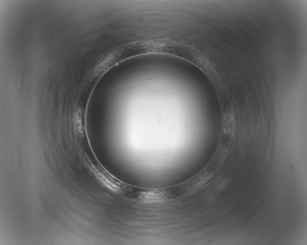 X0000080790238200612151503