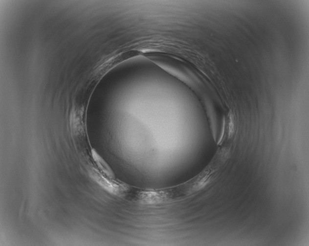 X0000080790239200612151503