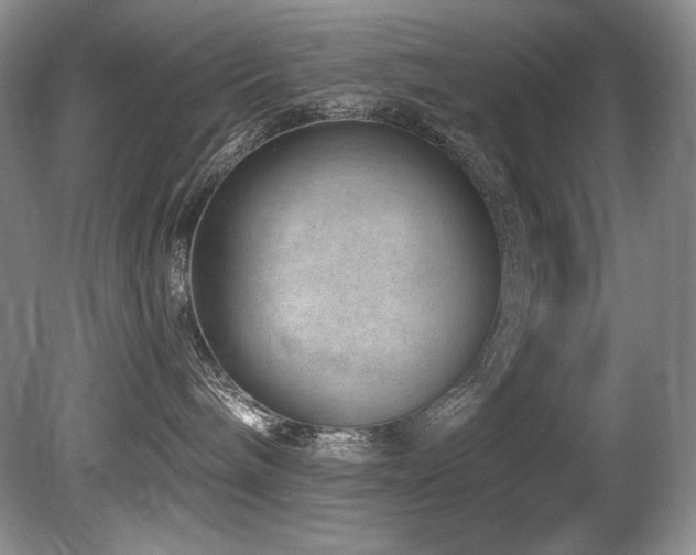 X0000080790240200612151503