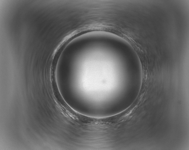 X0000080790244200612151502