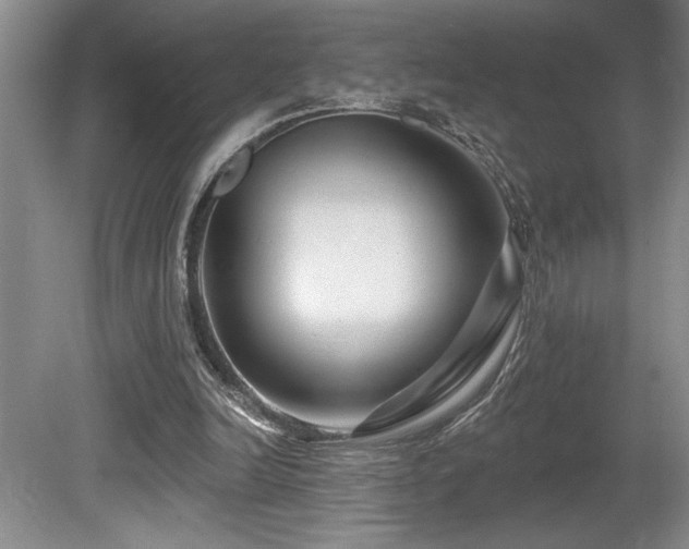 X0000080790246200612151502