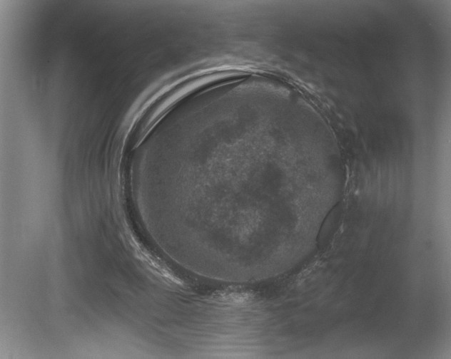 X0000080790247200612151502