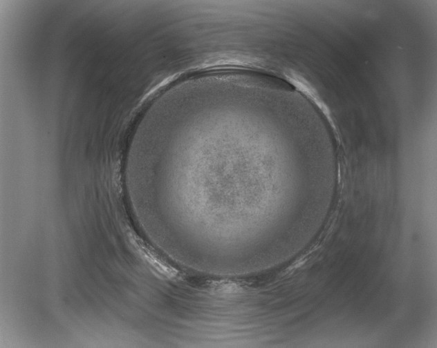 X0000080790249200612151502