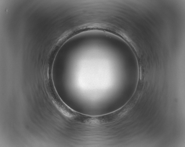 X0000080790253200612151502