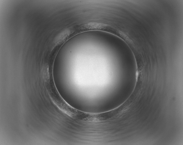 X0000080790254200612151502