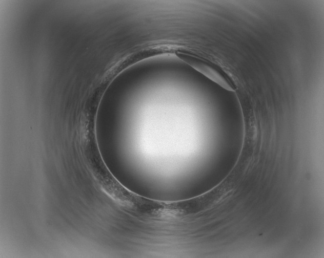 X0000080790255200612151502
