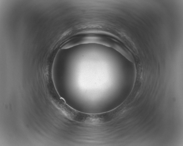 X0000080790260200612151502