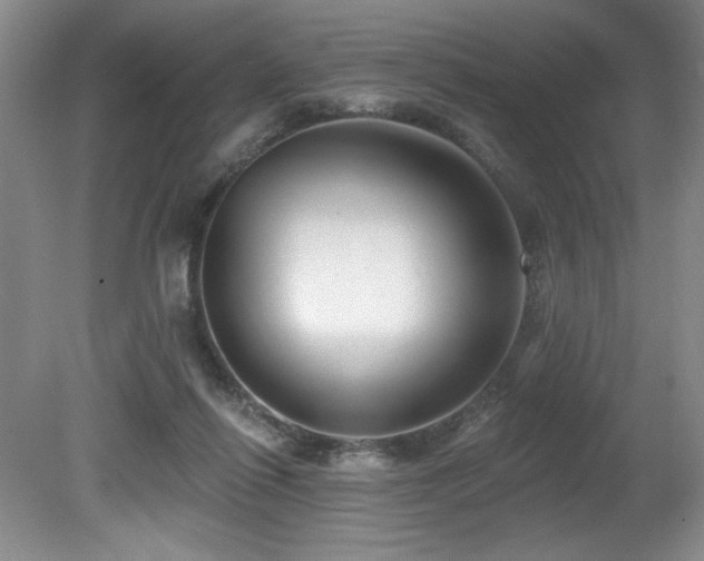 X0000080790262200612151502