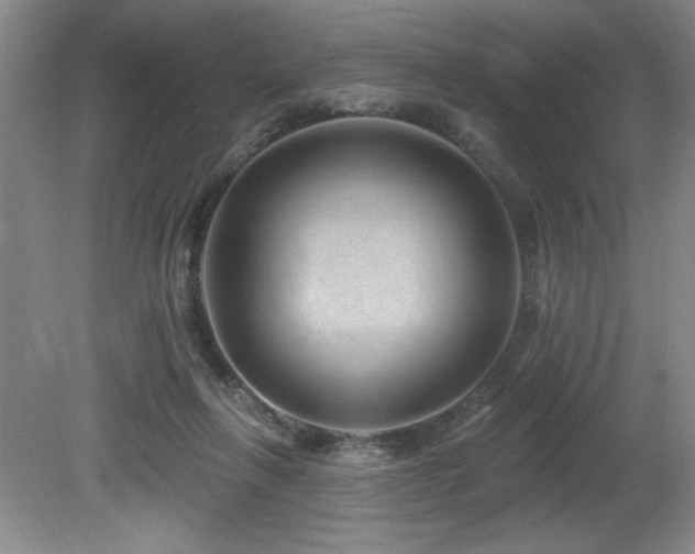 X0000080790263200612151502
