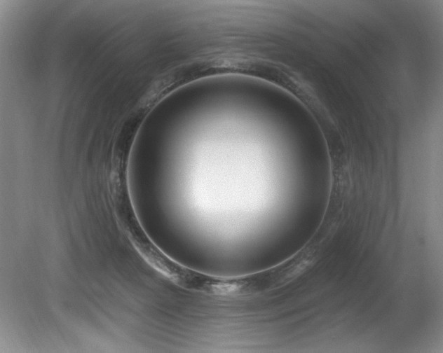 X0000080790265200612151502