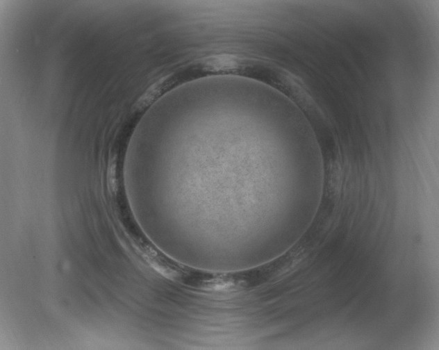 X0000080790267200612151502
