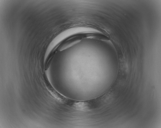 X0000080790269200612151502