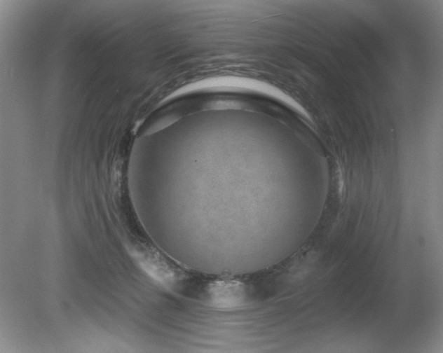 X0000080790271200612151502