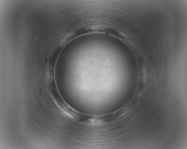 X0000080790272200612151502