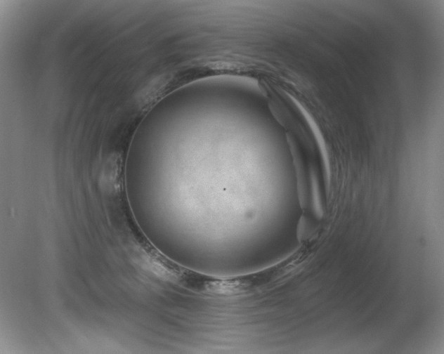 X0000080790273200612151502
