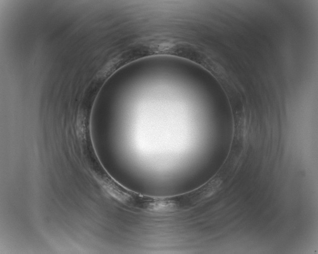 X0000080790274200612151502