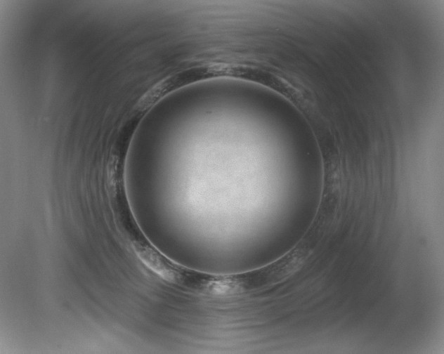 X0000080790275200612151502