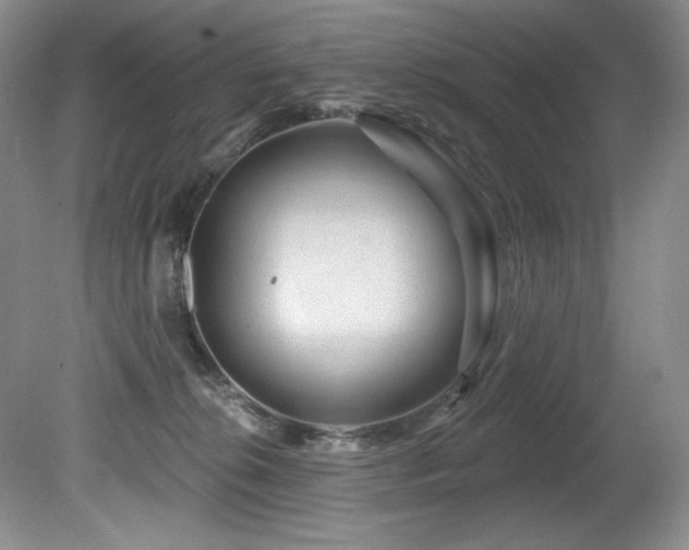 X0000080790276200612151502