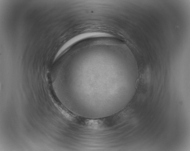 X0000080790277200612151502