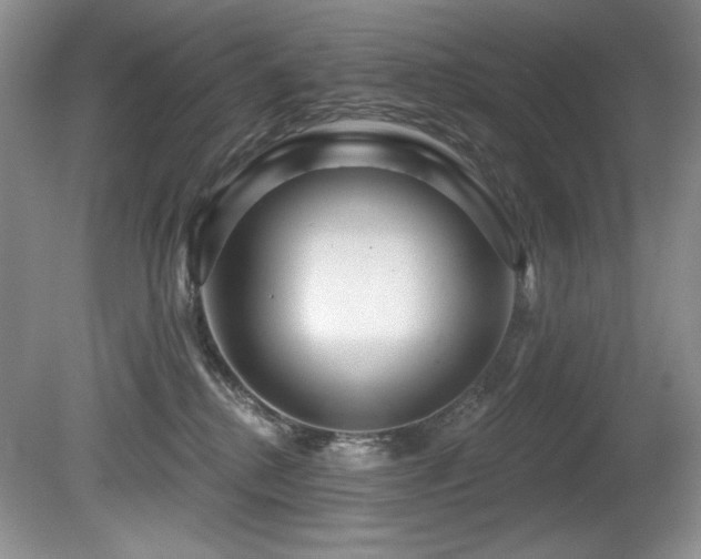 X0000080790280200612151503