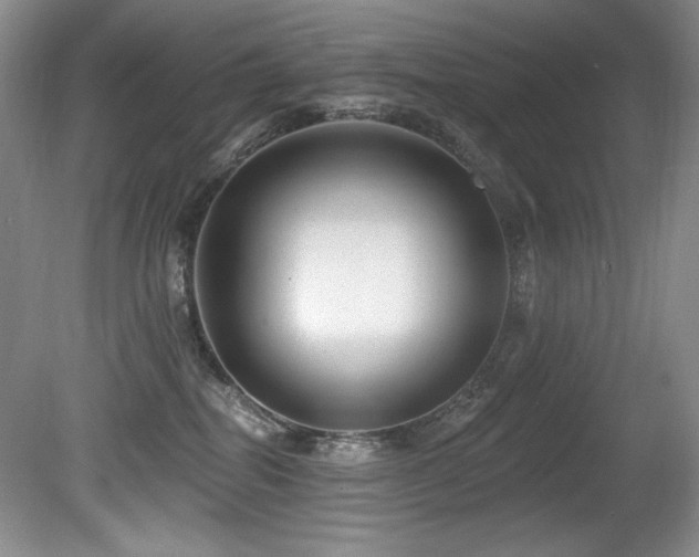X0000080790282200612151503