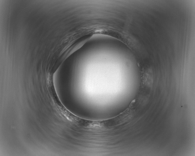 X0000080790283200612151503