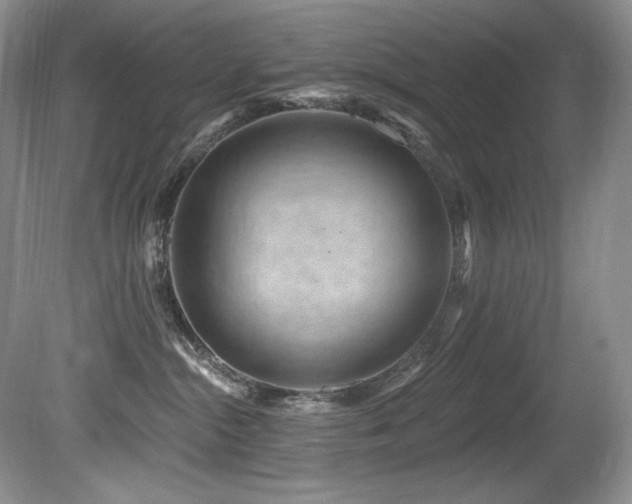 X0000080790284200612151503
