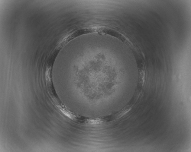 X0000080790286200612151503