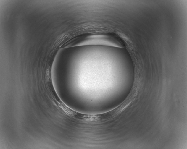 X0000080790288200612151503