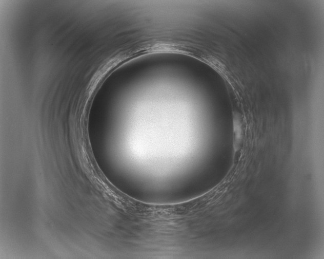 X0000080790289200612151502