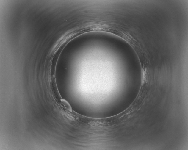 X0000080790291200612151502