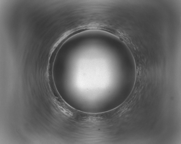 X0000080790292200612151502